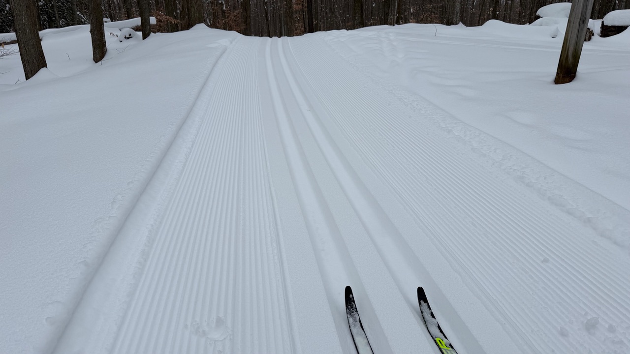 Freshly groomed ski trails at Murphys Point Provincial Park